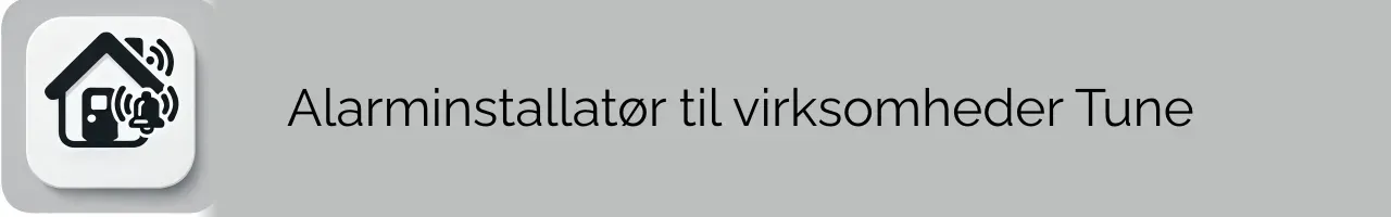 Alarminstallatør til virksomheder Tune